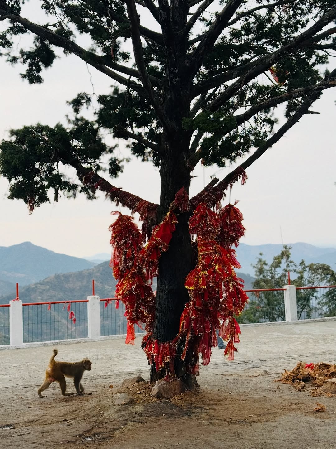 goldenhive holidays