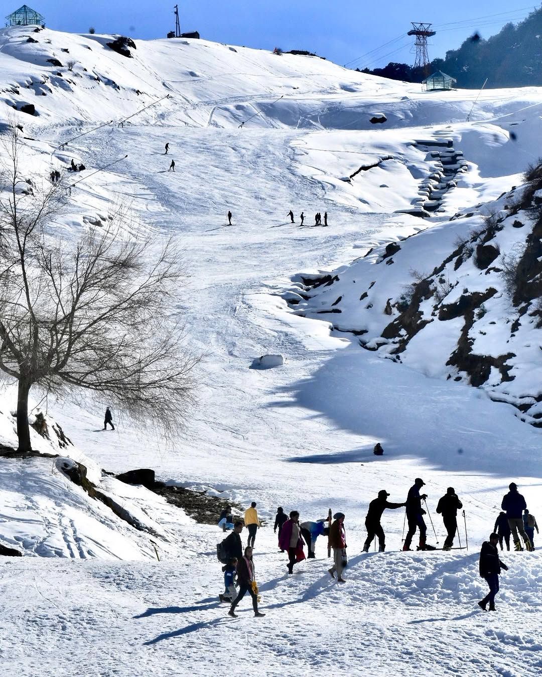 Auli Winter Postcard: 4-Day Himalayan Retreat