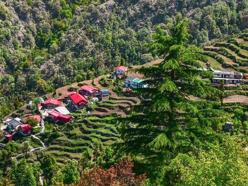 Himalayan Sunrise Escape: Dhanaulti Snow Views & Surkhanda Temple Trek