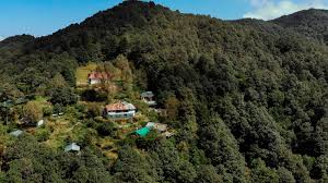Binsar Forest Sanctuary Retreat: Himalayan Wildlife & Pristine Zero Point Views
