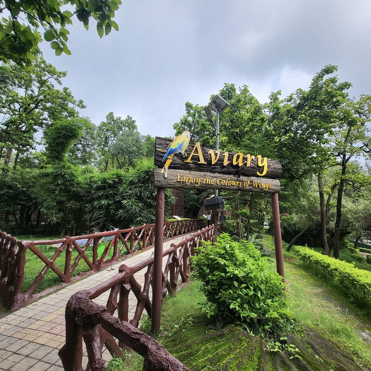 Dehradun Nature Escape: Robber's Cave, Sahastradhara & Forest Research